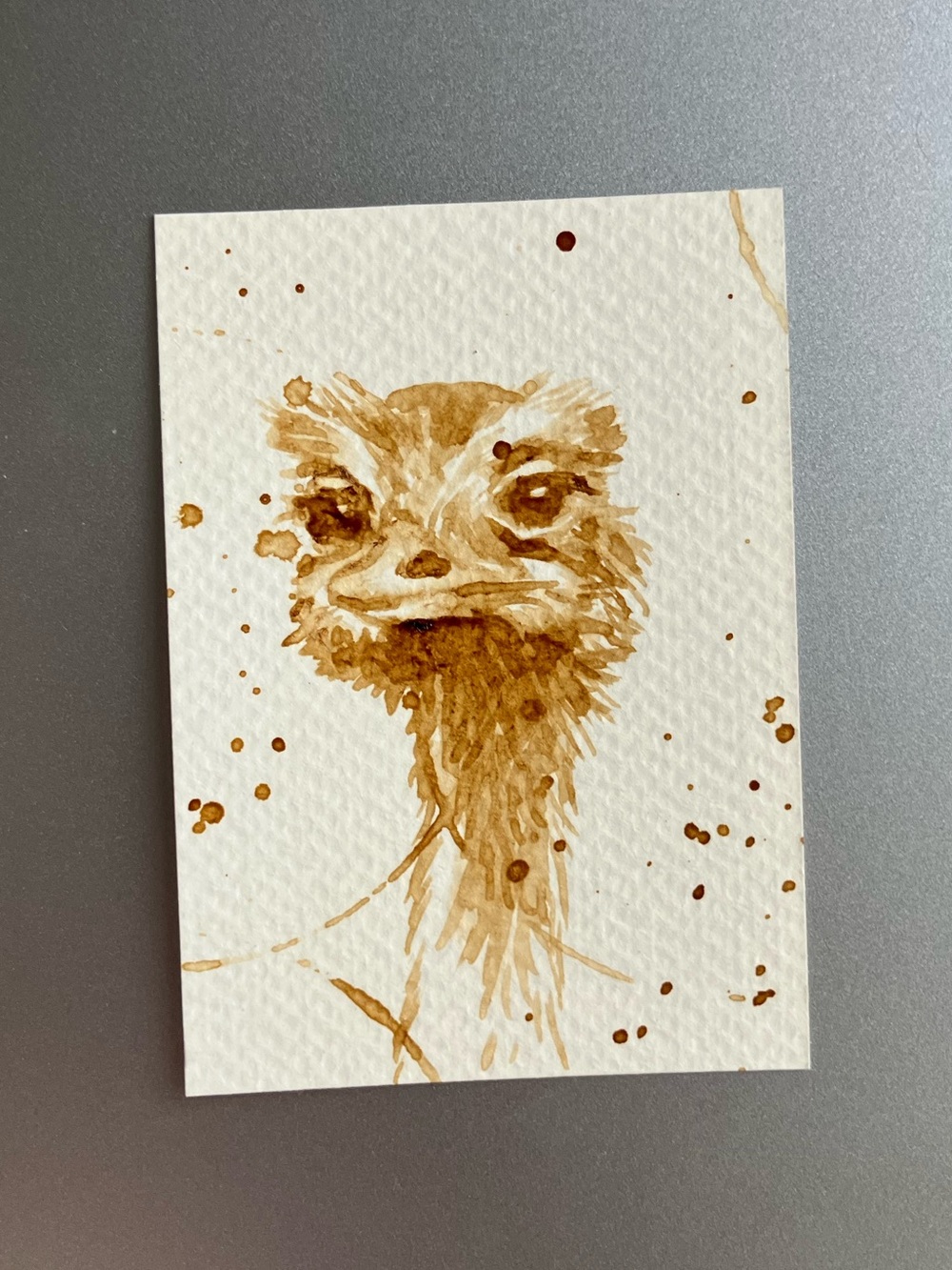 ORIGINAL coffee ostrich painting bird art miniature realism aceo artwork USA